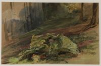 Dock leaves on the edge of a wooded slope in Lyneham