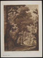 Woodland scene with an inscribed stone in the left foreground