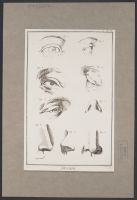 Studies of facial features