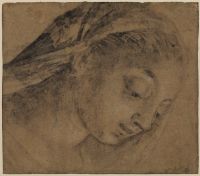 Female head - the Virgin in the Adoration