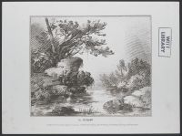 Landscape with rocks and tree