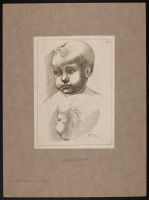 Two studies of the head of a child
