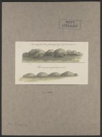 Plates from William Gilpin's 'Remarks on Forest Scenery'