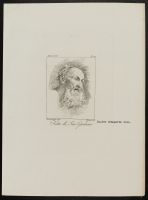 Head of Saint Jerome