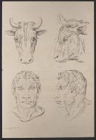Two male human heads and two bull heads