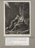 Saint John the Baptist