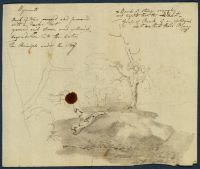Page in an album
