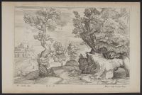 Rocky landscape