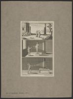 Plate 34: Three scenes showing that sunshine has no more force than common light, with respect to shades