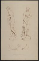Venus Anadyomene