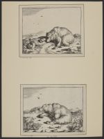 A crouching bear in a landscape