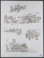 Timber Waggons.