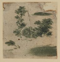 Study of foliage (recto)