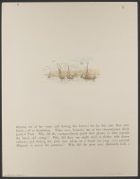 Paul and Virginia (verso)