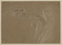 Study of arm and hand
