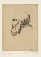 Head of Bearded Man in Profile, turned to left