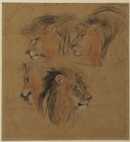 Four studies of a lion's head