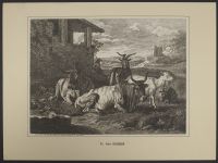 Landscape with cattle and goats
