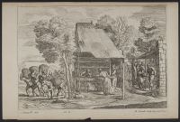 Harvest scene