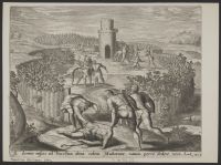 The Parable of the husbandmen