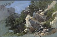 Rocky outcrop and bushes