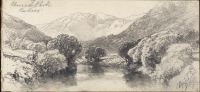 Mountain landscape with trees and pool