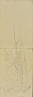 Blank page (recto)