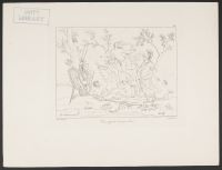 Venus Bringing Weapons to Aeneas (Vénus apporte les armes à Enée)
