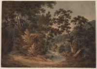 Landscape - in the woods at Bolton Abbey