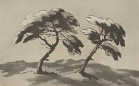 Illustration of a Tree