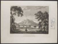 View of Ben Lomond from Cameron Wood