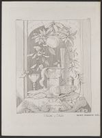 Series from the Galerie de Lucien Bonaparte