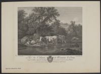 Landscape with cows