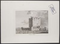 Castle of Thrive