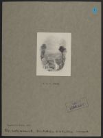 Gertrude of Wyoming - The Valley
