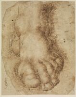 Study of a left foot