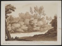 Wooded view with a river