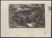 The Otter Pool