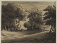 Flat landscape with trees and road