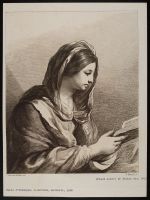 Virgin reading a book