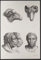 Three male human heads and two ram heads