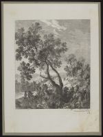 Wooded landscape