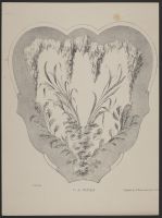 Ornament design