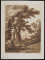 Landscape with trees