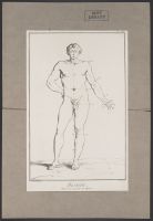 Male Proportions (Proportions généralles de l'Homme)