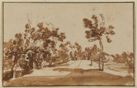 View near The Hague