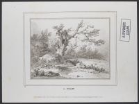 Landscape with large tree