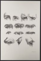 Studies of eyes