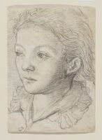 Head of a youth, turned to the left