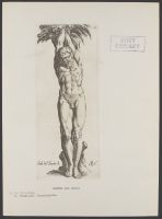Bearded male figure bound to a tree Plate 55 from Signorum veterum icones, 100 plates plus  title-page, of etchings after classical sculpture, dedicated to  Johannes Wtenbogaard and Constantijn Huygens
